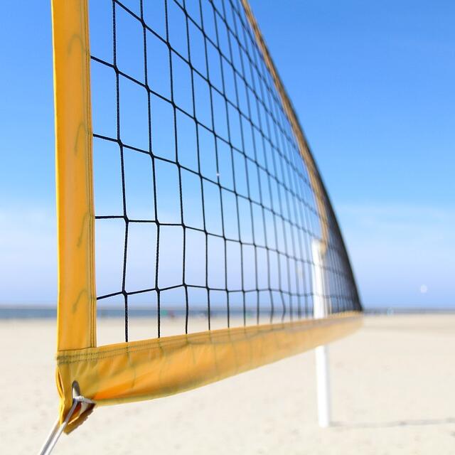 شبكة رياضية متعددة الأغراض معق - مراجعة Badminton Ina وسعره